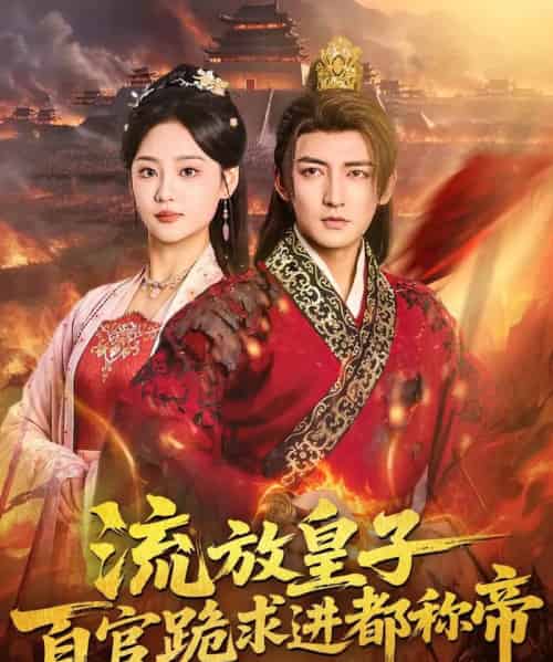 流放皇子百官跪求进都称帝（80集全）杜江山＆宋宇欣-搜外项目网