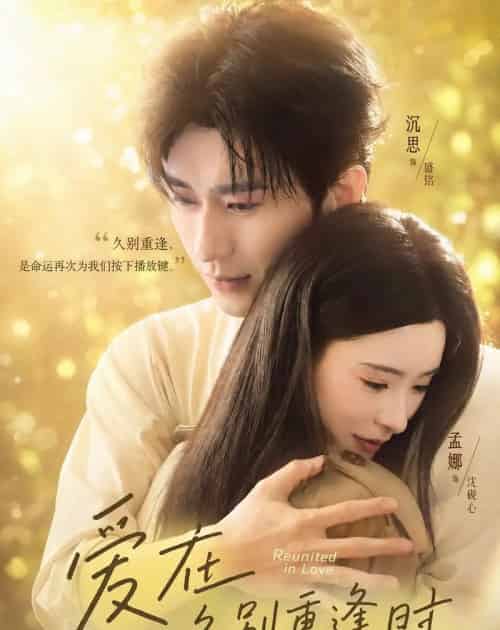 爱在久别重逢时（85集全）沉思＆孟娜-搜外项目网