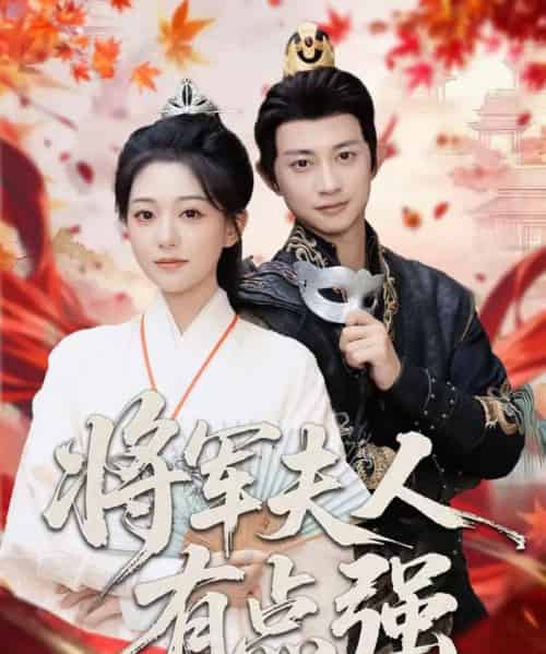 将军夫人有点强（78集全）吴伊纯＆项泰诚-搜外项目网