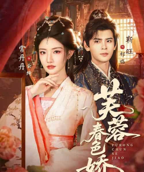 芙蓉春色娇（78集全）靳旺＆常丹丹-搜外项目网