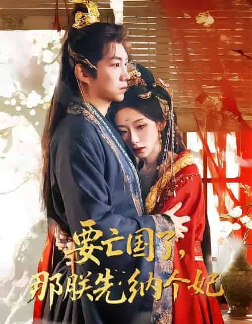 要亡国了那朕先纳个妃（70集全）江佳瞳＆胡曦＆侯泽霖-搜外项目网