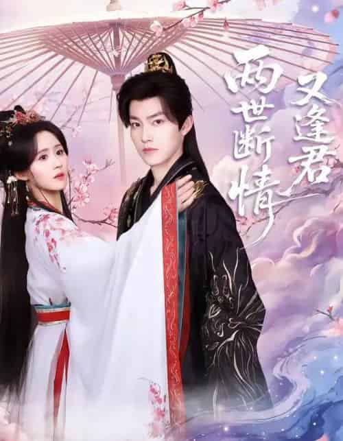 两世断情又逢君（71集全）周凌丰＆书雪漫-搜外项目网
