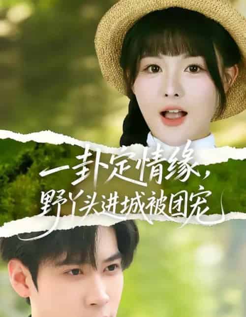 一卦定情缘，野丫头进城被团宠（61集全）胡金池＆杨晨（女）-搜外项目网