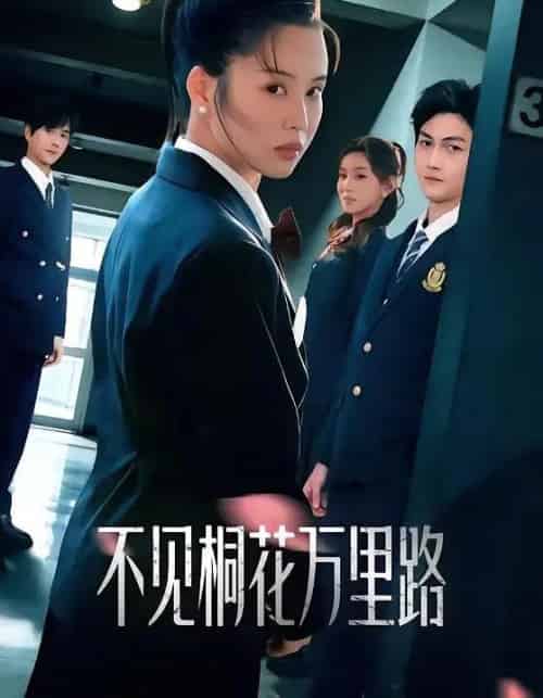 不见桐花万里路（71集全）灵川贝贝＆陈凯洲-搜外项目网