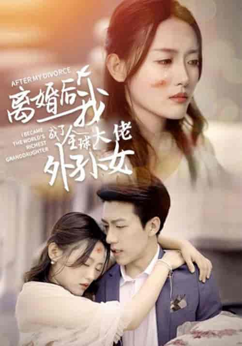 离婚后我成了全球大佬的外孙女（101集全）霍靳城＆黎歌-搜外项目网