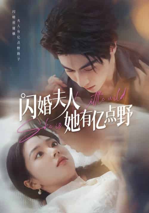 闪婚夫人她有亿点野（60集全）王子林＆张紫菡-搜外项目网