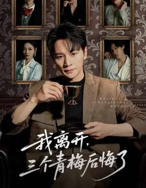 我离开，三个青梅后悔了（45集全）随嘉兴＆张湘＆娜吉玛-搜外项目网