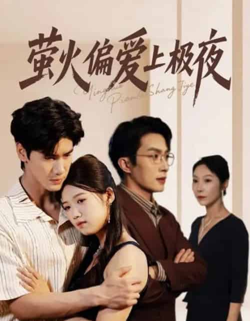 萤火偏爱上极夜（71集全）叶庭＆高洁慧-搜外项目网