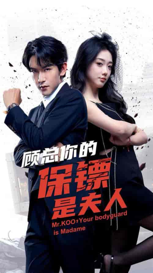 顾总你的保镖是夫人(54集全)沈照程&墨凝-搜外项目网