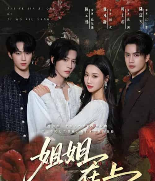 姐姐在上(65集全)陈云廷&魏凡舒-搜外项目网