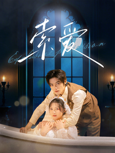 索爱（99集全）谢鸿鑫＆彭瑶-搜外项目网