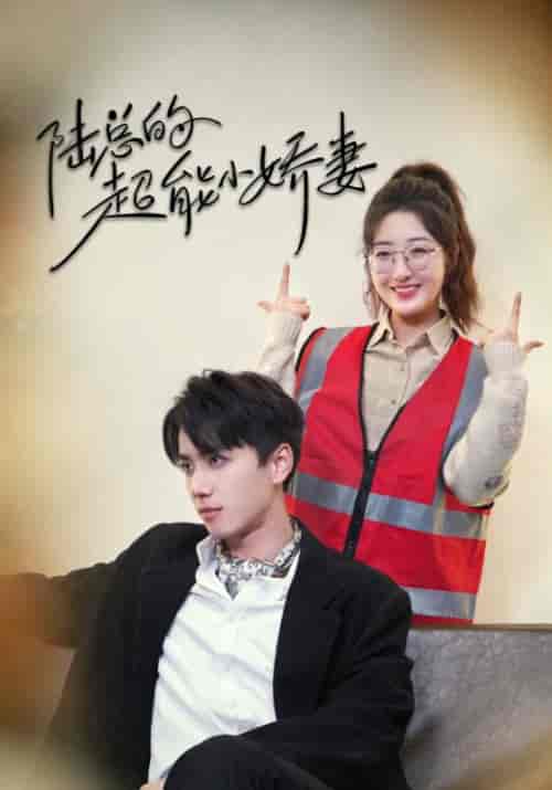 陆总的超能小娇妻＆余生只护你＆踮起脚尖的爱（82集）陈政阳＆郭静-搜外项目网