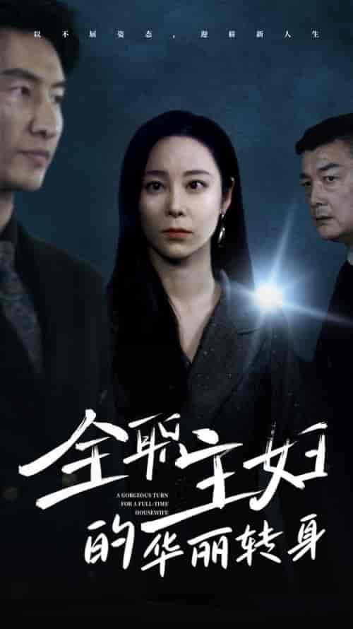 全职主妇的华丽转身（52集全）纪冷希-搜外项目网