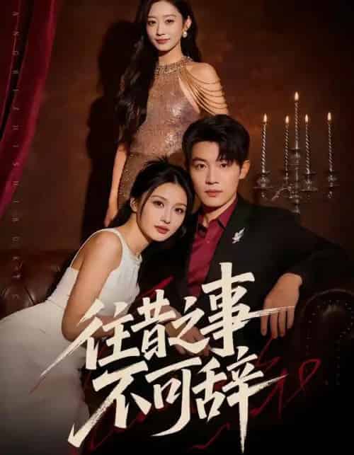 往昔之事不可辞（50集全）李少聪＆辛宁-搜外项目网