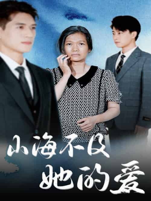 山海不及她的爱(71集全)刘洋&马舒芳-搜外项目网