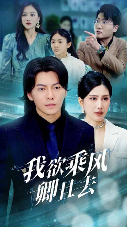 我欲乘风卿且去(54集全)王梓潇&宋雯娟-搜外项目网