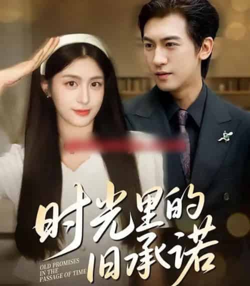 时光里的旧承诺＆重逢是场盛大告白（61集全）李芊乐＆李柏谊-搜外项目网