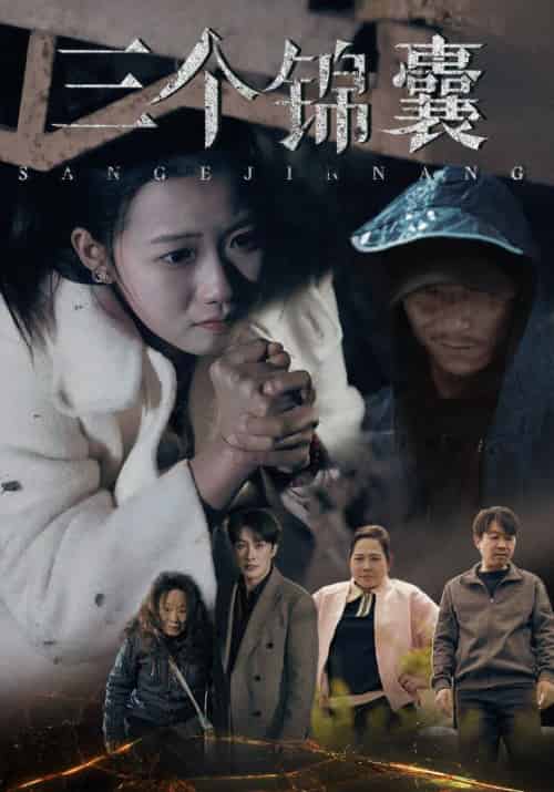 三个锦囊（70集全）叶庭＆高洁慧-搜外项目网