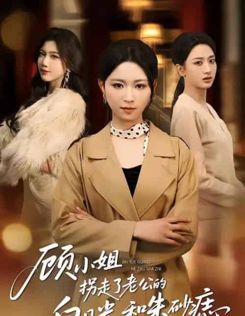 顾小姐拐走了老公的白月光和朱砂痣(62集全)王曦玥&肖静-搜外项目网