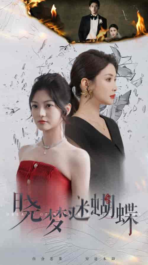 晓梦迷蝴蝶（76集全）-搜外项目网