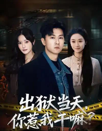 出狱当天，你惹我干嘛？＆出狱当天你惹我干嘛（62集全）王鹏＆郑皓月-搜外项目网