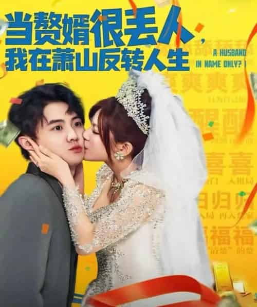 当赘婿很丢人,我在萧山反转人生(80集全)李梓&伊晨-搜外项目网