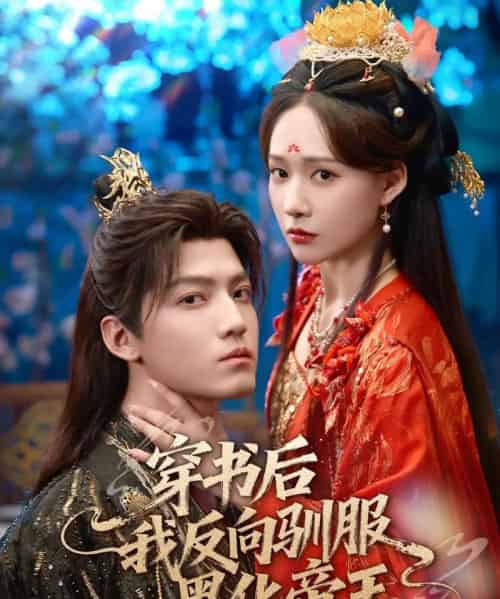 穿书后我反向驯服黑化帝王（60集全）朱旻昕＆何适-搜外项目网