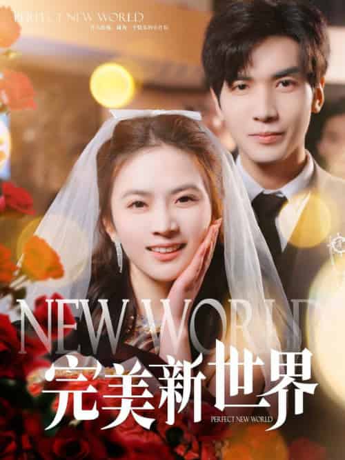 完美新世界（100集全）胡家豪＆刘美娜-搜外项目网