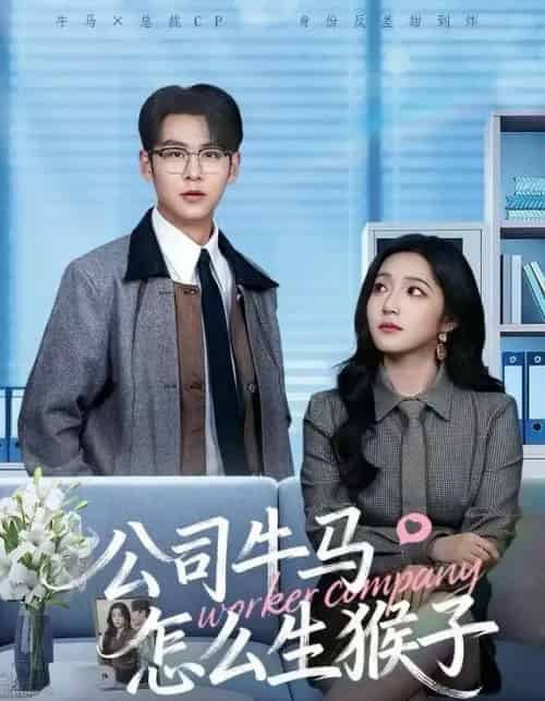 公司牛马怎么生猴子（80集全）阚梓艺＆孔德瑞-搜外项目网