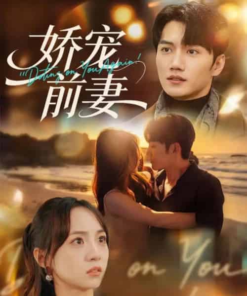 娇宠前妻（72集全）金佳遇＆张楸梓-搜外项目网