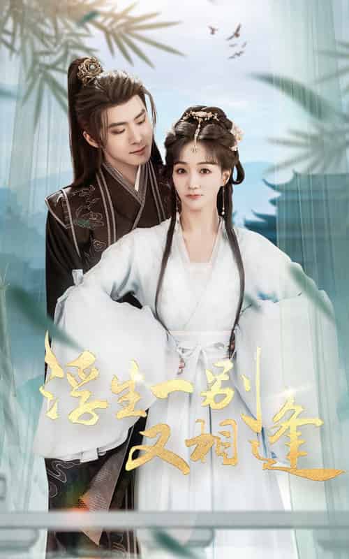 浮生一别又相逢（60集全）李俊良＆陈诗敏-搜外项目网