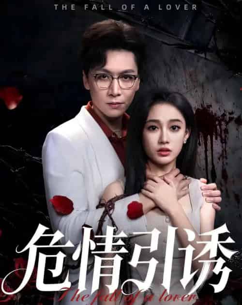 危情引诱（50集全）姜昊旻＆张亚迪-搜外项目网