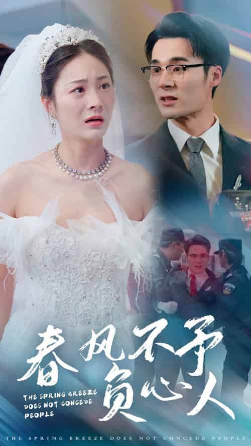 春风不予负心人（28集全）廖峰＆宋雯娟-搜外项目网