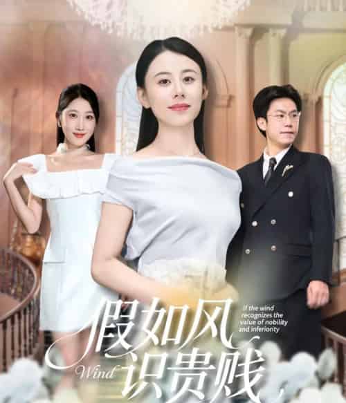 假如风识贵贱（58集全）徐香颖＆周华明-搜外项目网
