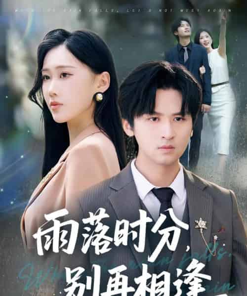 雨落时分别再相逢(70集)鞠琳&王廉栋-搜外项目网
