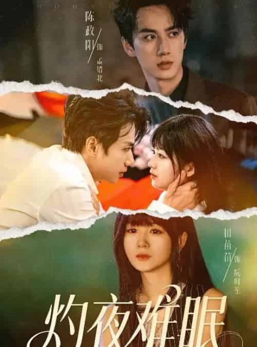 灼夜难眠（60集全）陈政阳＆田苗苗-搜外项目网