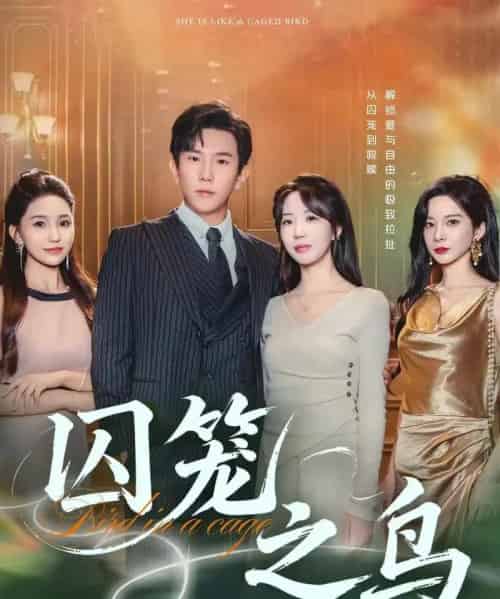 囚笼之鸟（52集全）程澄＆彭丹丹（彭呆呆）-搜外项目网