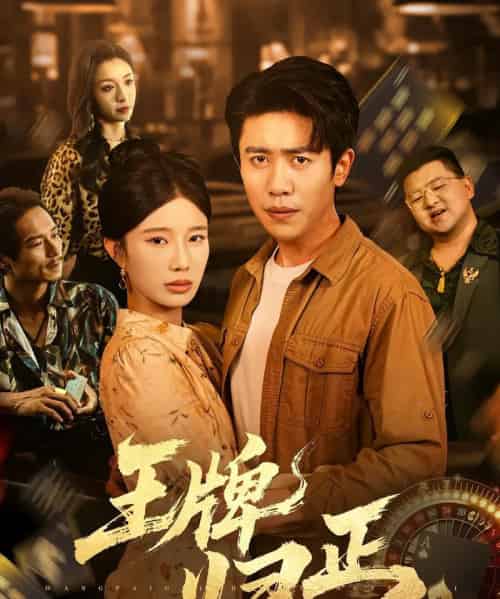 王牌归正（80集）周越＆宗白铧-搜外项目网