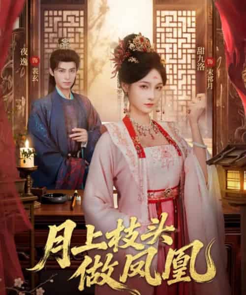 月上枝头做凤凰(80集全)夜逸&甜九洛-搜外项目网