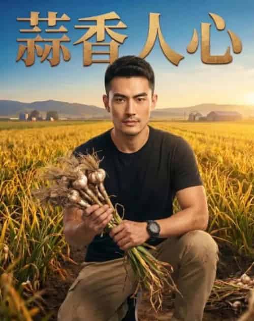 蒜香人心（21集全）-搜外项目网