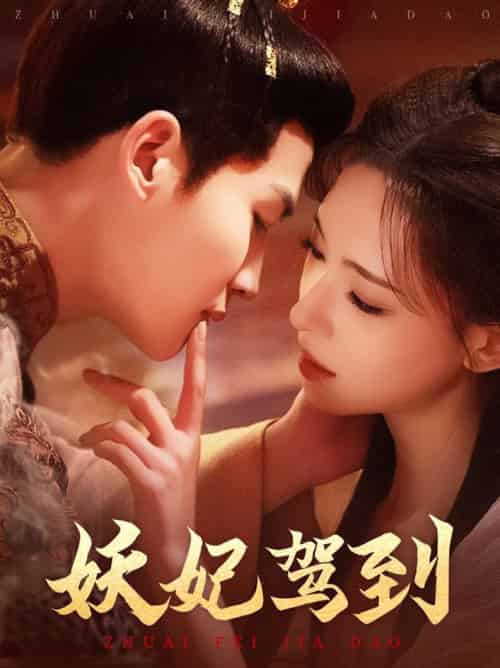 妖妃驾到（85集全）张洪鸣＆崔一梁-搜外项目网