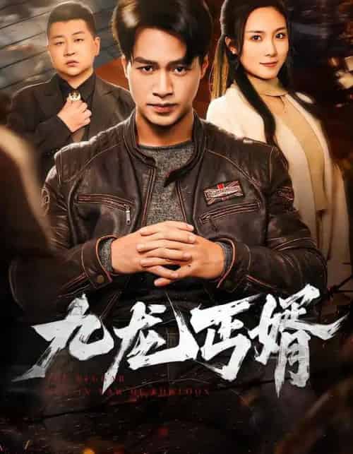 九龙丐婿（81集全）鄢子纶＆苏寰-搜外项目网