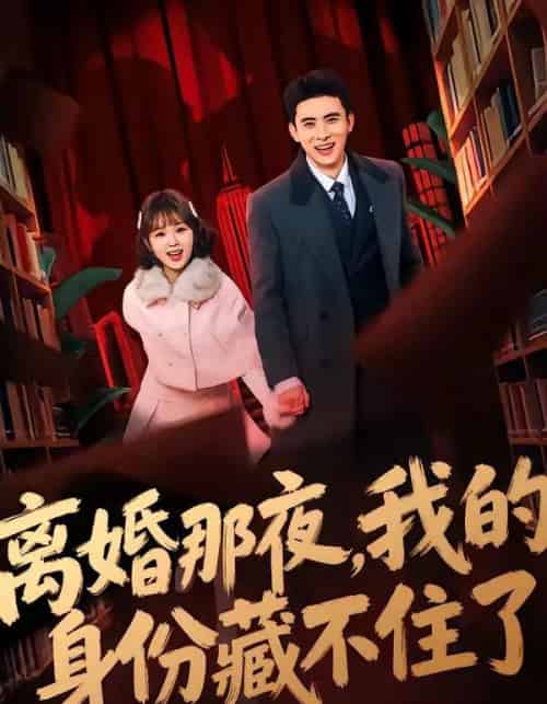离婚那夜,我的身份藏不住了(66集全)姚晶乐&刘渝展-搜外项目网