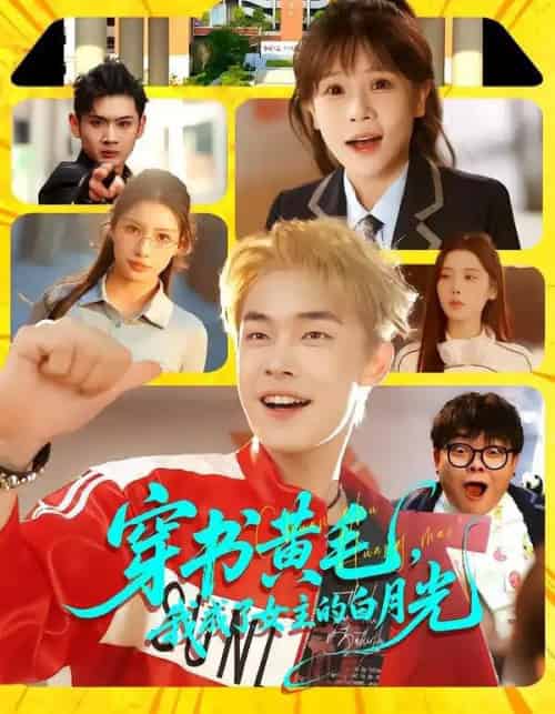 穿书黄毛,我成了女主的白月光(80集全)朱哲人&张幼宜-搜外项目网