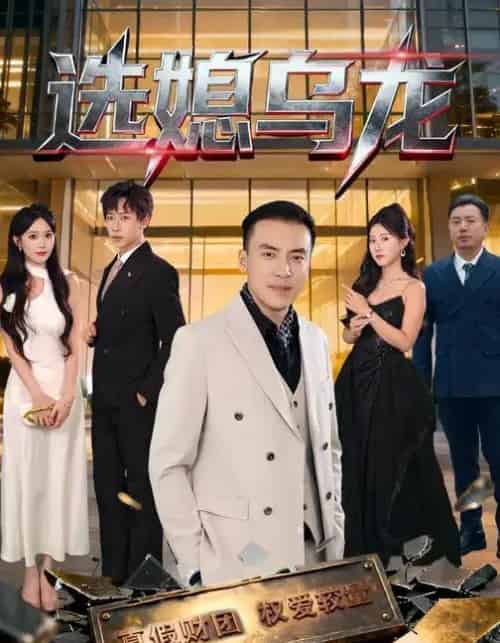 选媳乌龙（80集全）李星辰＆李尚宇-搜外项目网