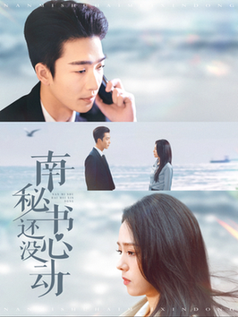 南秘书还没心动（92集全）姚冠宇＆翟成露-搜外项目网