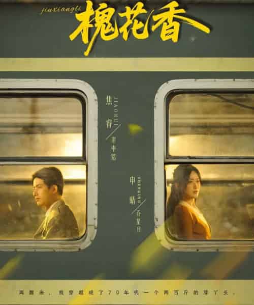 旧时光里槐花香(70集全)申晴&焦睿-搜外项目网