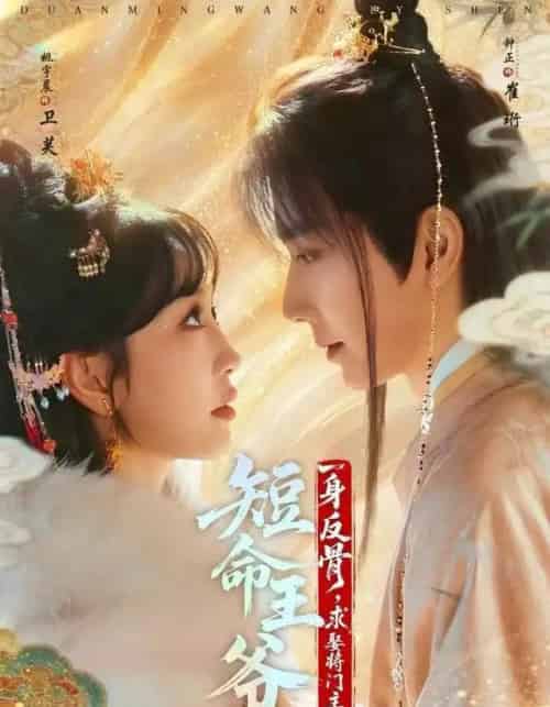 短命王爷一身反骨，求娶将门主母（80集全）钟正＆姚宇晨-搜外项目网