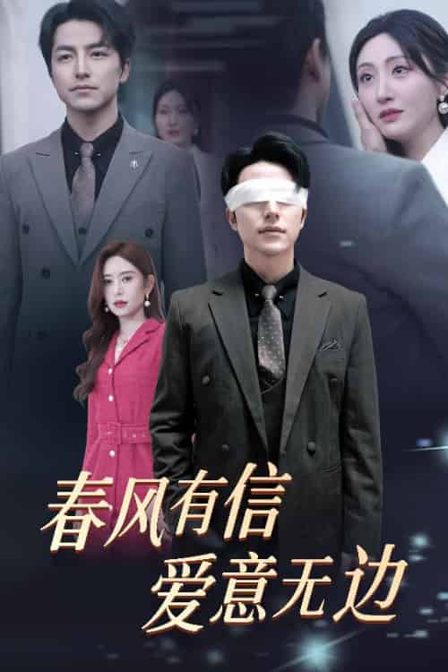 春风有信爱意无边＆失明之后爱意尽毁（30集全）吴昊＆桉淇-搜外项目网