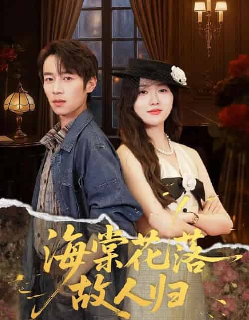 海棠花落故人归（78集全）霍豆豆＆白家宁-搜外项目网